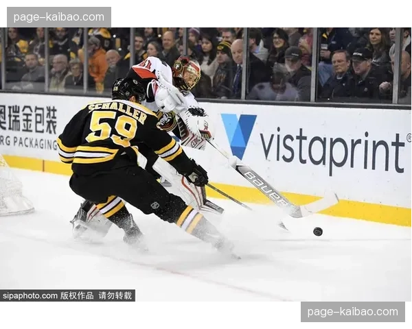 深度报道：从垫底到季后赛，渥太华参议员队重建计划步入正轨